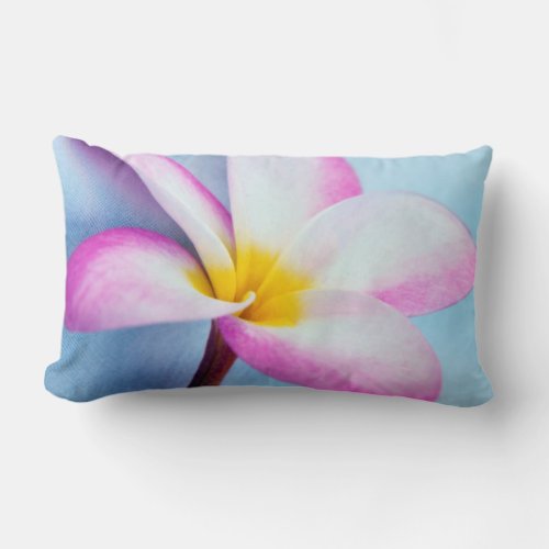 USA Hawaii Oahu Plumeria flowers in bloom 2 Lumbar Pillow