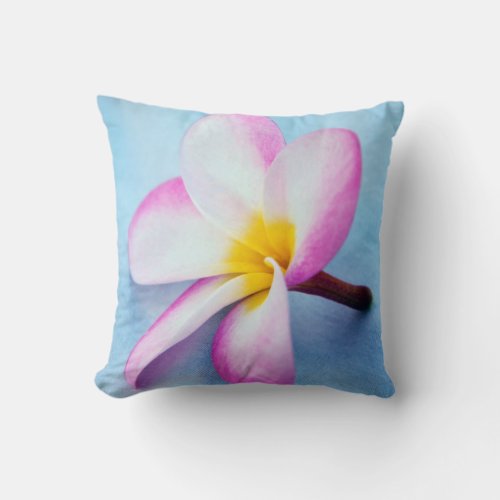 USA Hawaii Oahu Plumeria flowers in bloom 2 Throw Pillow