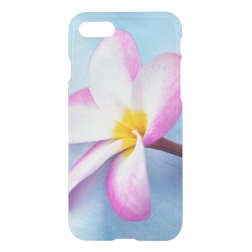 USA Hawaii Oahu Plumeria flowers in bloom 2 iPhone SE87 Case