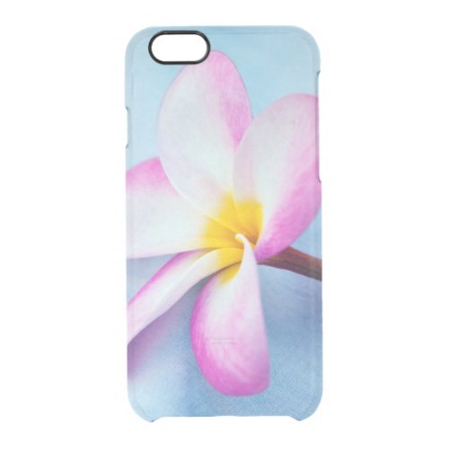 USA Hawaii Oahu Plumeria flowers in bloom 2 Clear iPhone 66S Case