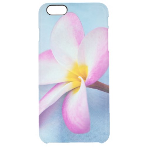 USA Hawaii Oahu Plumeria flowers in bloom 2 Clear iPhone 6 Plus Case