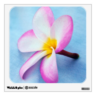 USA, Hawaii, Oahu, Plumeria flowers in bloom 2 Wall Sticker