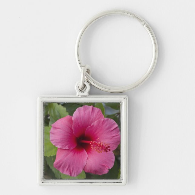 USA, Hawaii, Oahu. The Hibiscus is the 2 Keychain (Front)