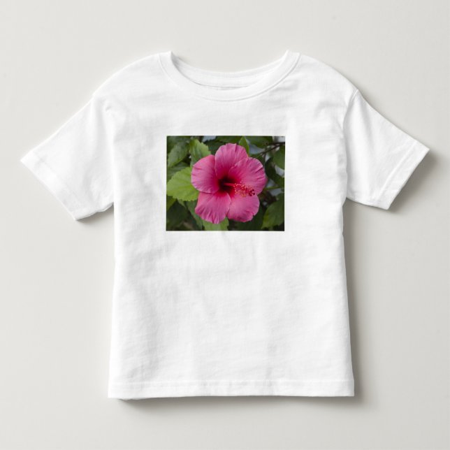 USA, Hawaii, Oahu. The Hibiscus is the 2 Toddler T-shirt (Front)