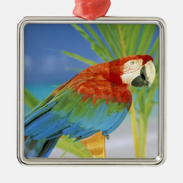 USA, Hawaii. Parrot Metal Ornament (Front)