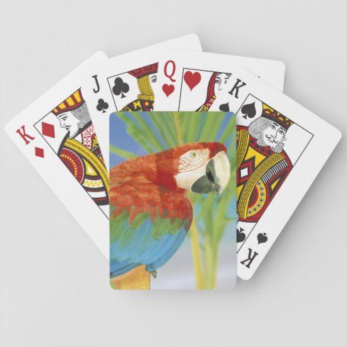 USA Hawaii Parrot Poker Cards