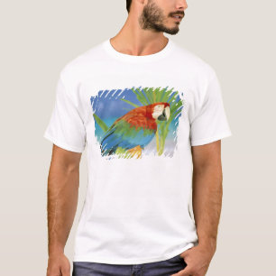 USA, Hawaii. Parrot T-Shirt
