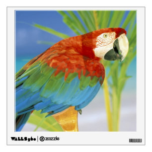USA, Hawaii. Parrot Wall Decal