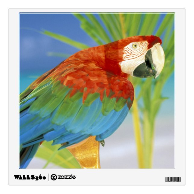 USA, Hawaii. Parrot Wall Decal (Front)