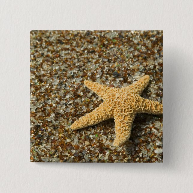 USA, HI, Kauai, Glass Beach with Star fish Pinback Button (Front)