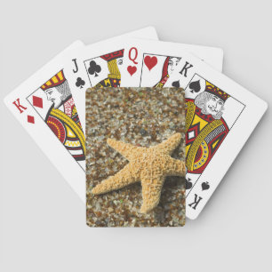 USA, HI, Kauai, Glass Beach with Star fish Poker Cards