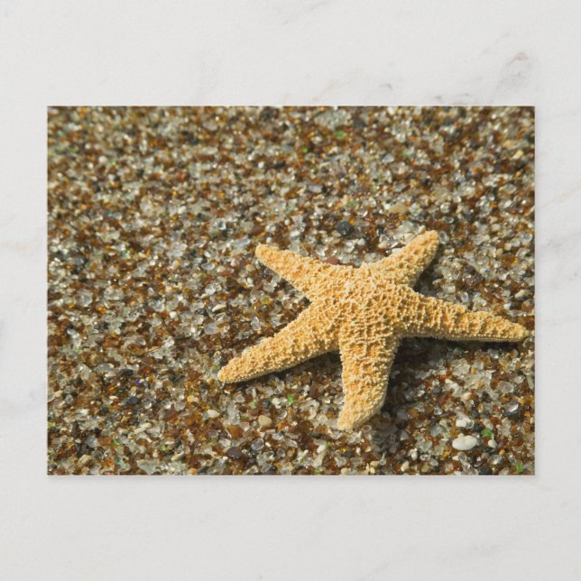 USA, HI, Kauai, Glass Beach with Star fish Postcard (Front)