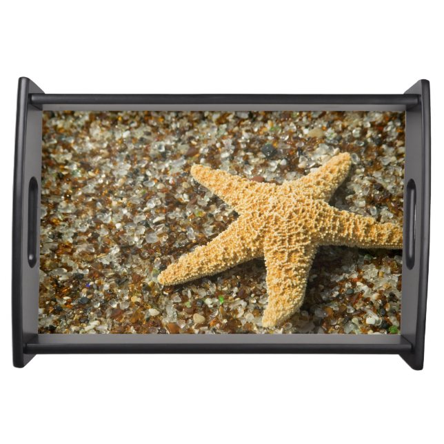 USA, HI, Kauai, Glass Beach with Star fish Serving Tray (Front)