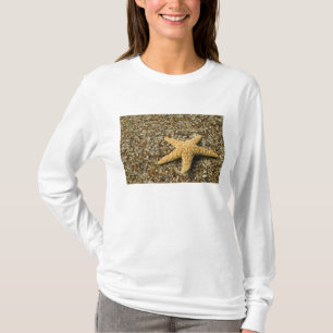 USA, HI, Kauai, Glass Beach with Star fish T-Shirt