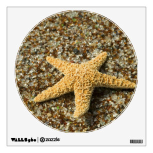 USA, HI, Kauai, Glass Beach with Star fish Wall Decal