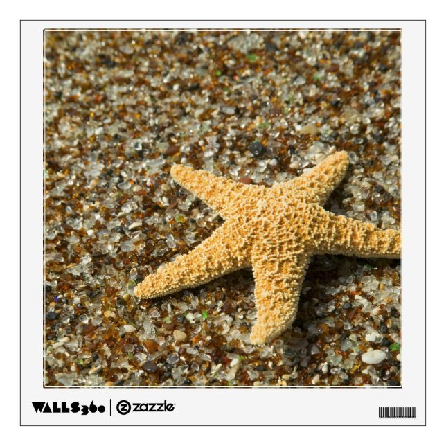 USA, HI, Kauai, Glass Beach with Star fish Wall Sticker (Front)