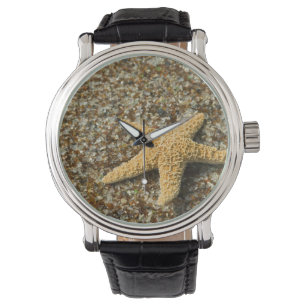 USA, HI, Kauai, Glass Beach with Star fish Watch