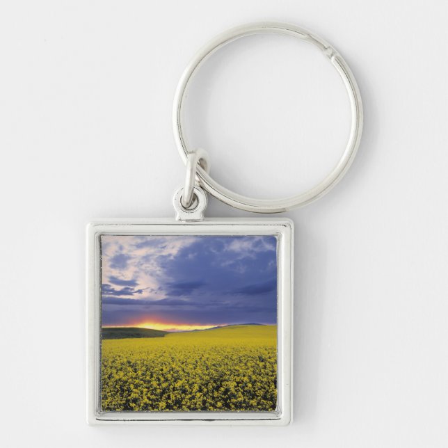 USA, Idaho, Swan Valley. A fiery sunset erupts Keychain (Front)