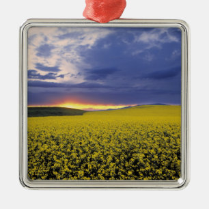 USA, Idaho, Swan Valley. A fiery sunset erupts Metal Ornament