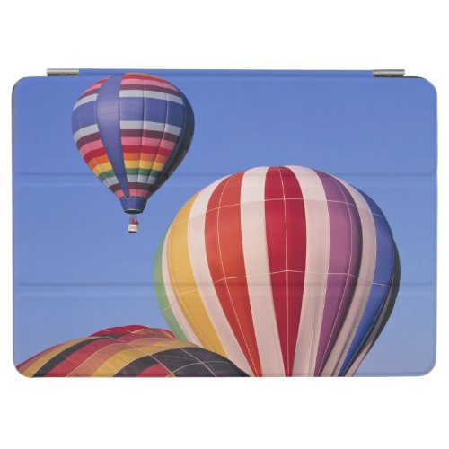 USA Idaho Teton Valley Colorful hot_air iPad Air Cover