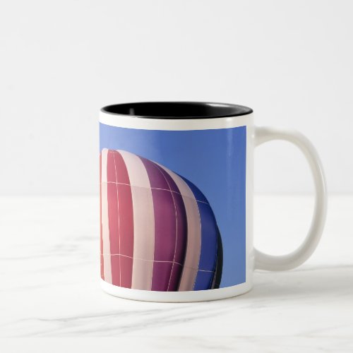 USA Idaho Teton Valley Colorful hot_air Two_Tone Coffee Mug