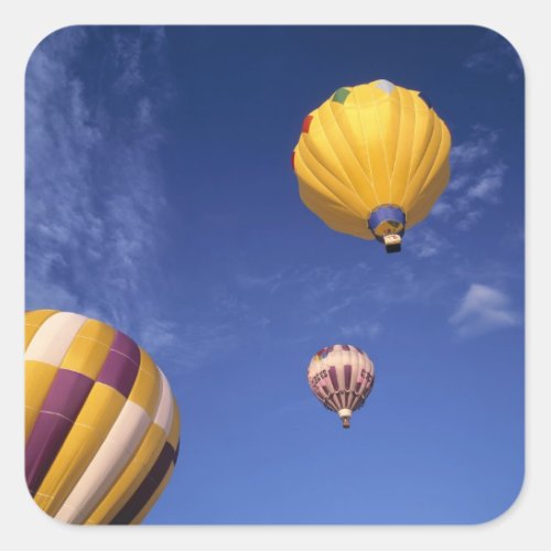 USA Idaho Teton Valley Hot_air balloons Square Sticker