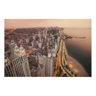 USA, Illinois, Chicago, Aerial view of Lake Wood Wall Decor