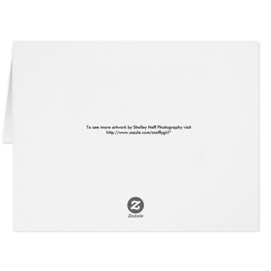 USA in Red White and Blue American Patriotic Flag (Back Horizontal)