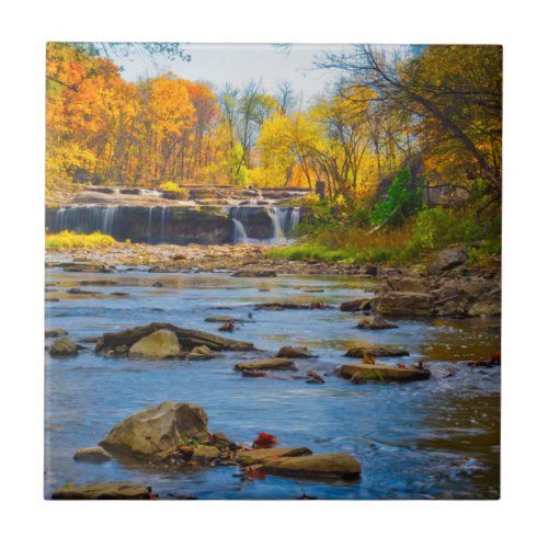 USA Indiana Cataract Falls State Recreation Tile