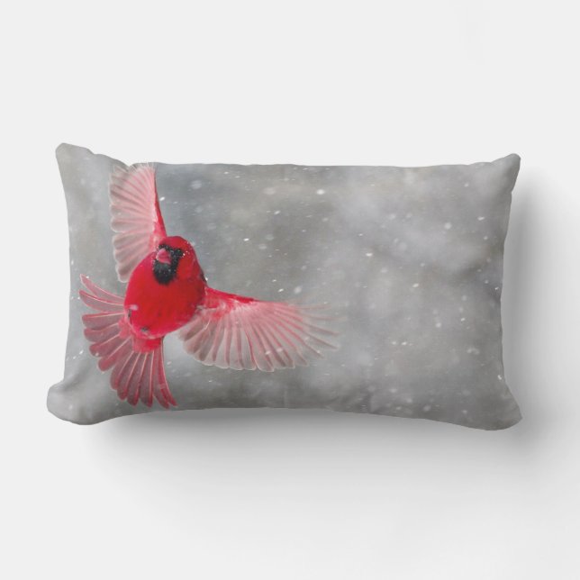 USA, Indiana, Indianapolis. A male cardinal Lumbar Pillow (Front)