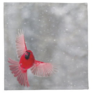 USA, Indiana, Indianapolis. A male cardinal Napkin