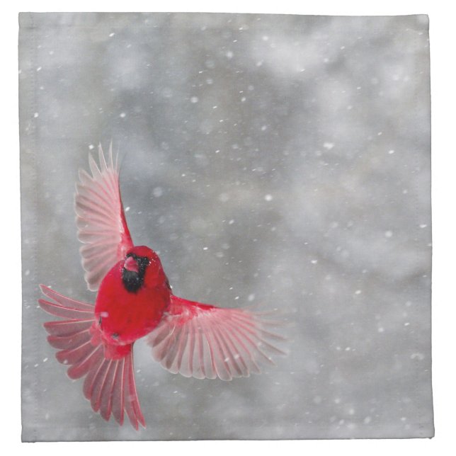 USA, Indiana, Indianapolis. A male cardinal Napkin (Front)