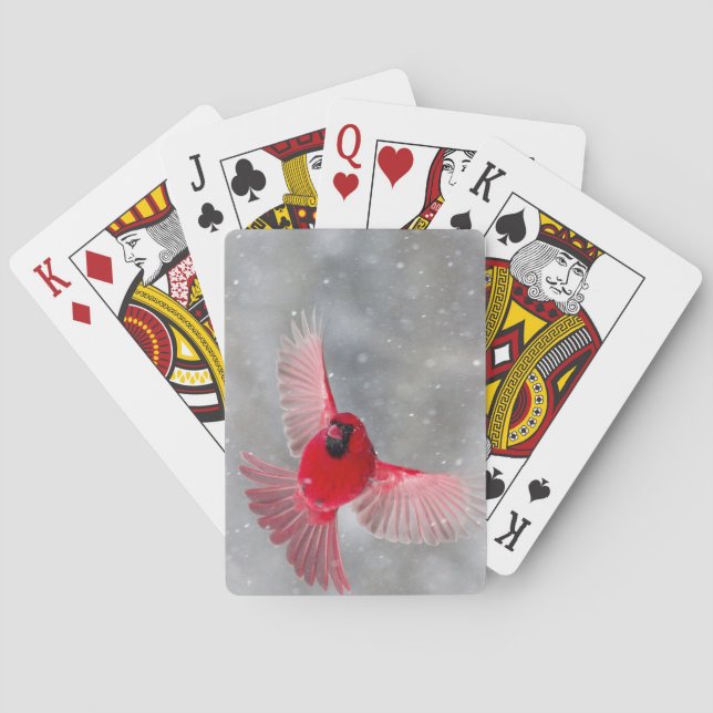 USA, Indiana, Indianapolis. A male cardinal Poker Cards (Back)