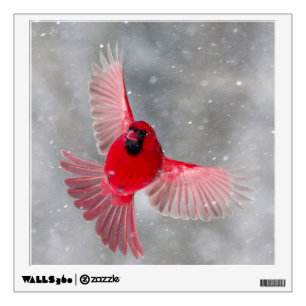 USA, Indiana, Indianapolis. A male cardinal Wall Sticker