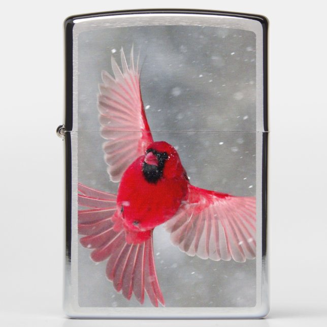 USA, Indiana, Indianapolis. A male cardinal Zippo Lighter (Front)