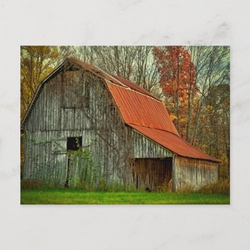 USA Indiana rural landscape vine_covered barn Postcard