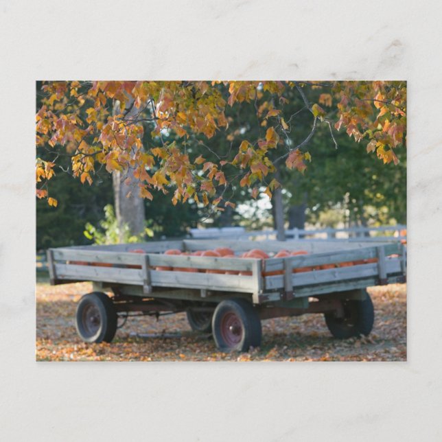 USA, IOWA, Madison County, Winterset: Howell's Postcard (Front)