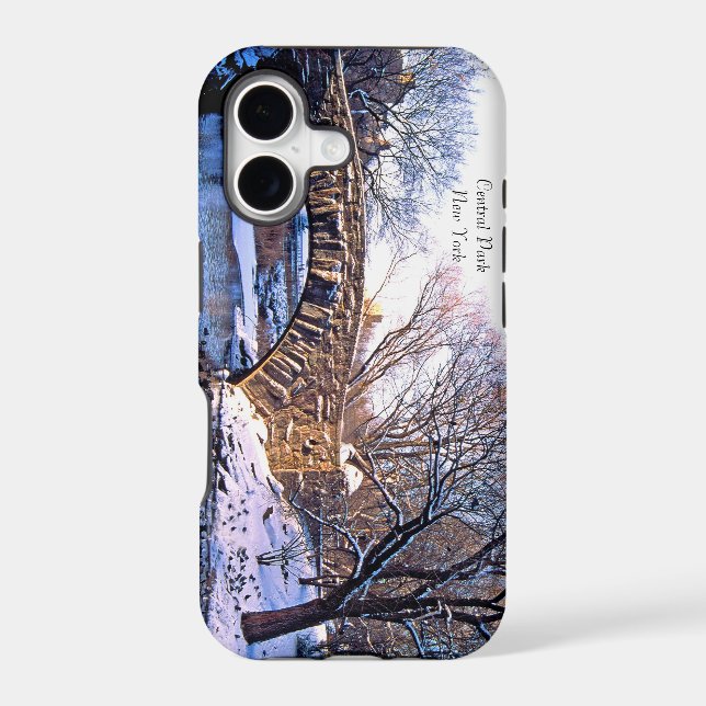 USA iPhone 5 case (Back)