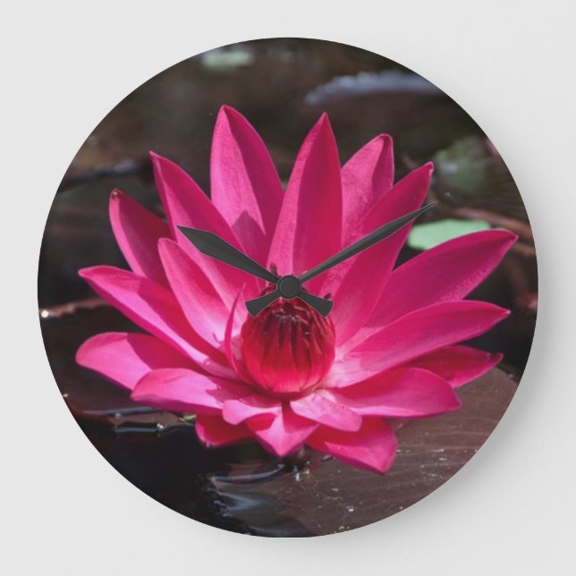 USA, Kansas, Bright Red Water Lilly Large Clock (Front)