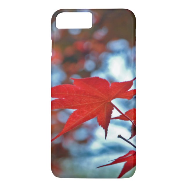 USA, Kansas. Fall Colors Case-Mate iPhone Case (Back)
