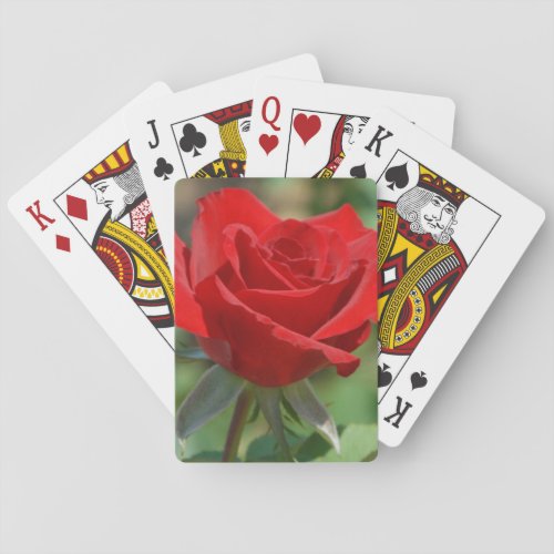 USA Kansas Red Rose Playing Cards