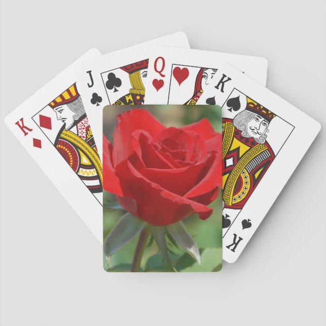 USA, Kansas, Red Rose Poker Cards (Back)