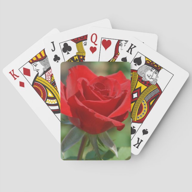 USA, Kansas, Red Rose Poker Cards (Back)