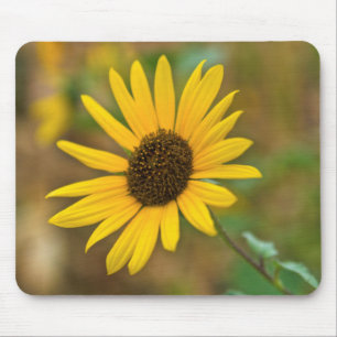 USA, Kansas. Wild Sunflower Mouse Pad