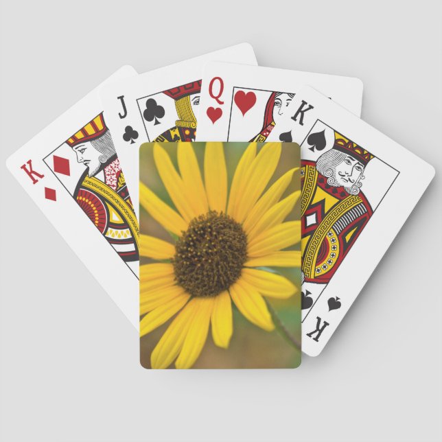 USA, Kansas. Wild Sunflower Poker Cards (Back)