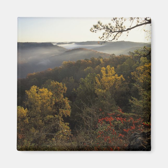 USA, Kentucky. Daniel Boone National Forest. Magnet (Front)