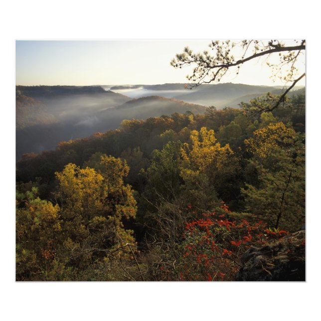 USA, Kentucky. Daniel Boone National Forest. Photo Print (Front)