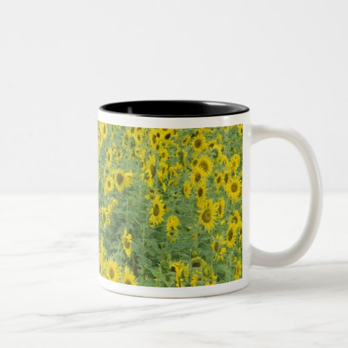 USA Kentucky Fayette County Pattern in field Two_Tone Coffee Mug