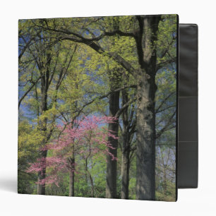 USA, Kentucky, Louisville. Eastern Redbud 3 Ring Binder