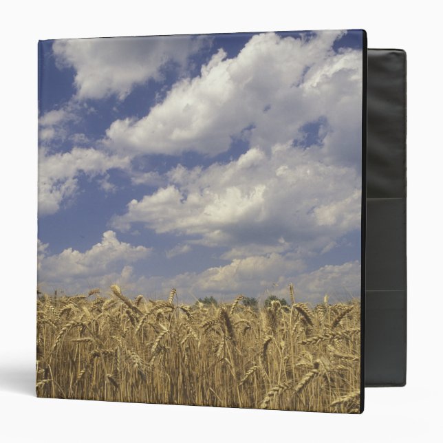USA, Kentucky, Louisville. Wheat crop and Binder (Front/Inside)